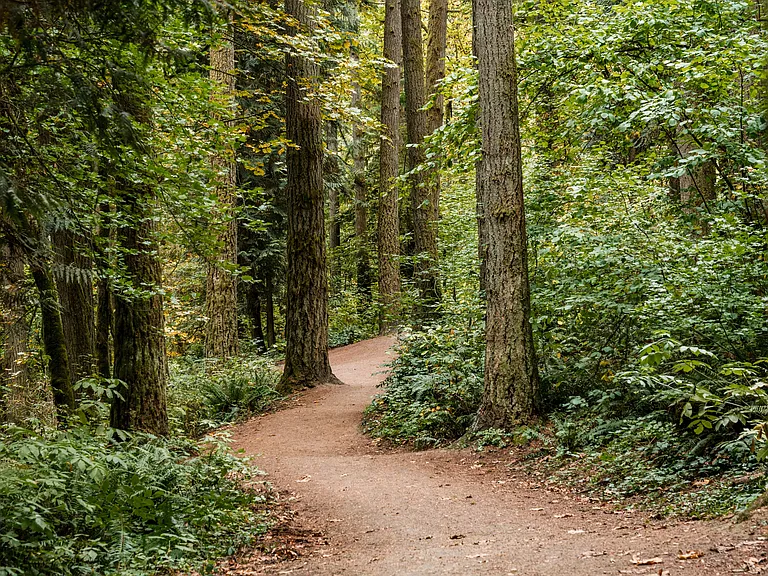 Whipple Creek Trail