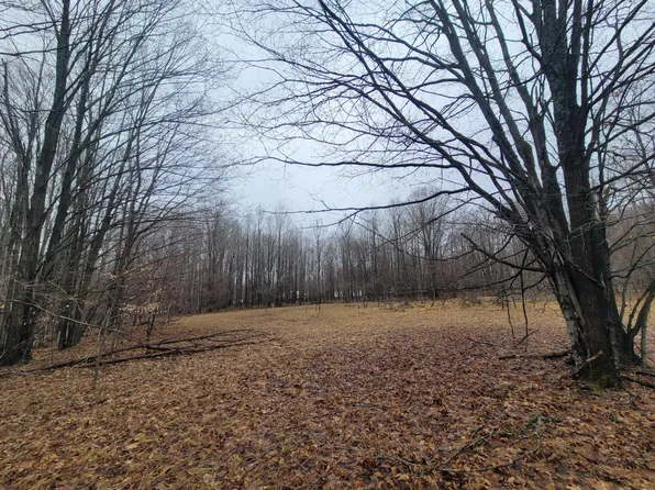 W Devereaux Lake Rd, Indian River, MI 49749