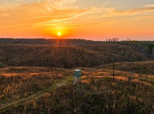 1 County Road 45, Waterloo, AL 35677