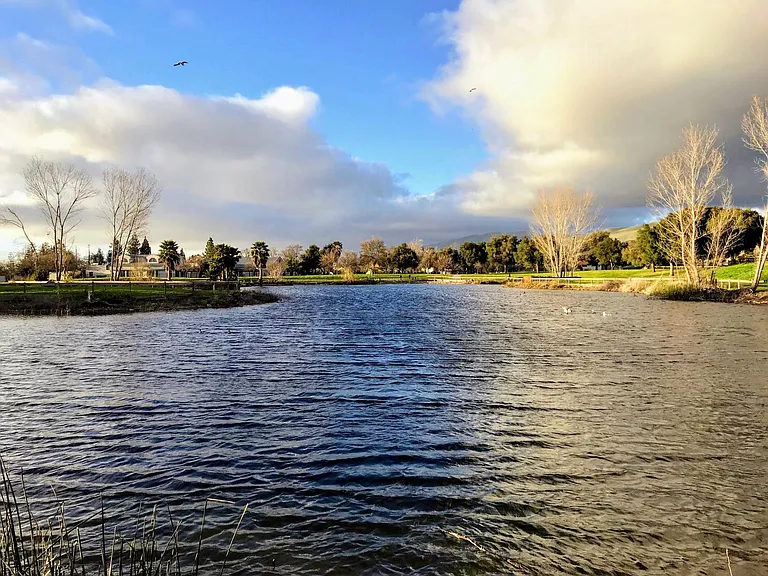Penitencia Creek Park Lake (walking distance from the house)