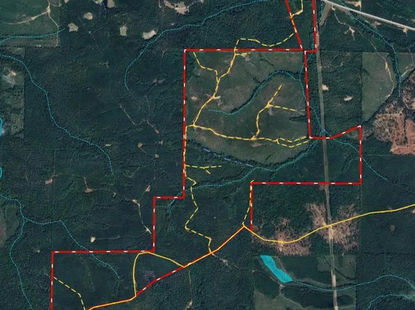 650/AC Talbotton Hwy, Butler, GA 31006