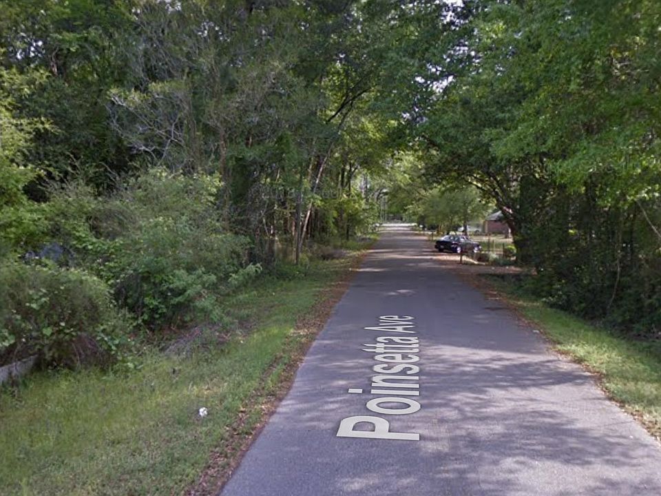 1st image of Poinsetta Ave