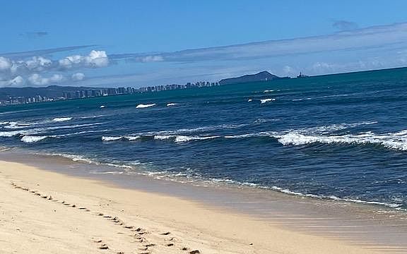 Steps away from the white sandy beach right behind the house