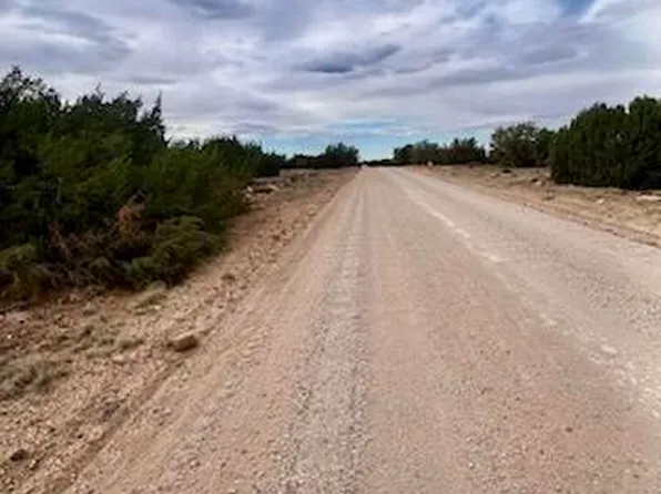 121-125 127 & 129 Co Rd #8051, Concho, AZ 85924