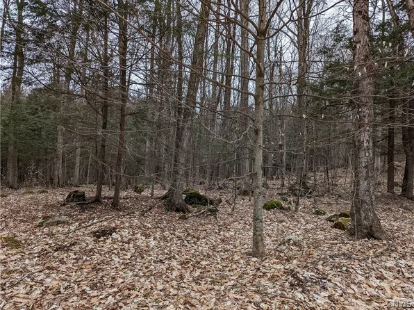 24 Maple Dr #24, Glenfield, NY 13343