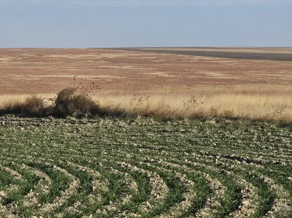 1 County Rd, Wallace, KS 67761