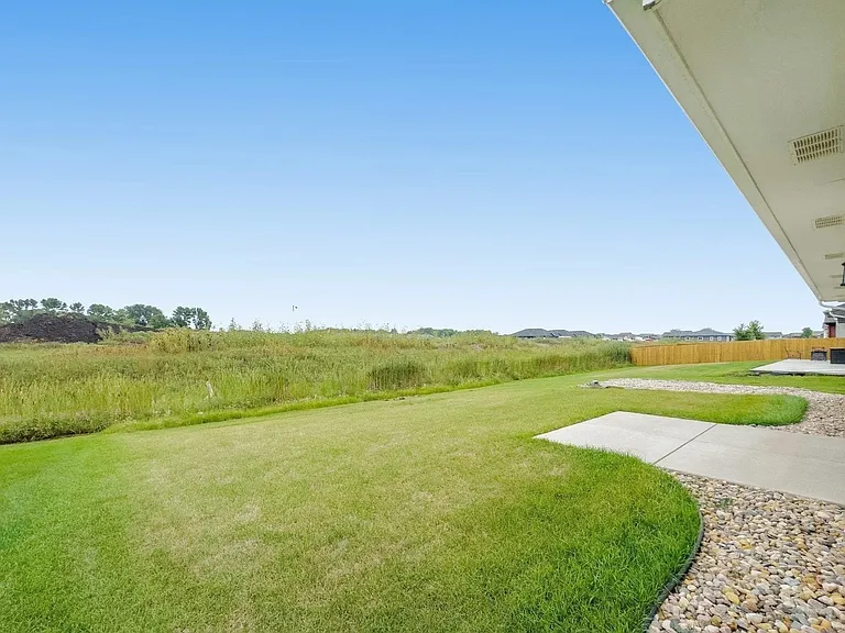 Back Yard_12172024