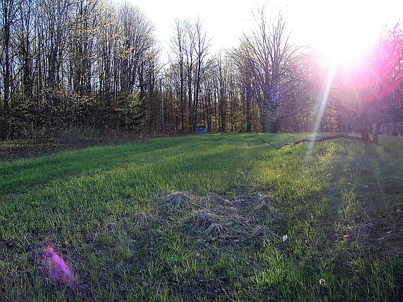 3rd image of 6404 Old 27 Highway 20 Acres