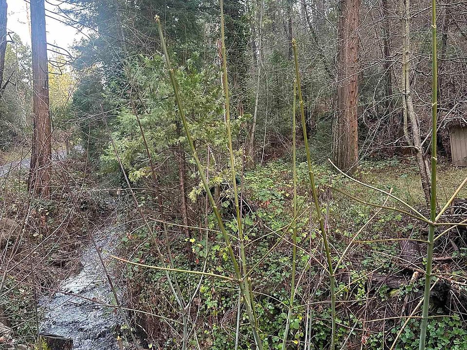 1st image of 22895 S Fork Rd