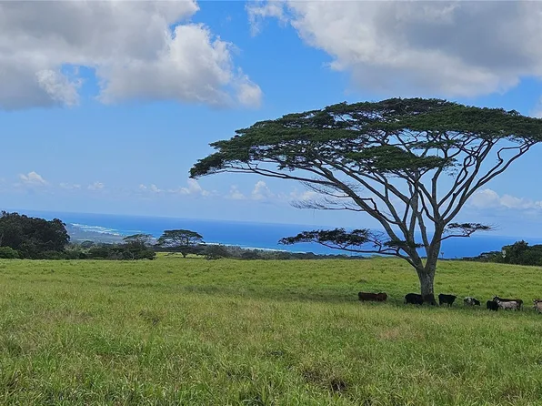 0 Plantation Rd #13, Haleiwa, HI 96712