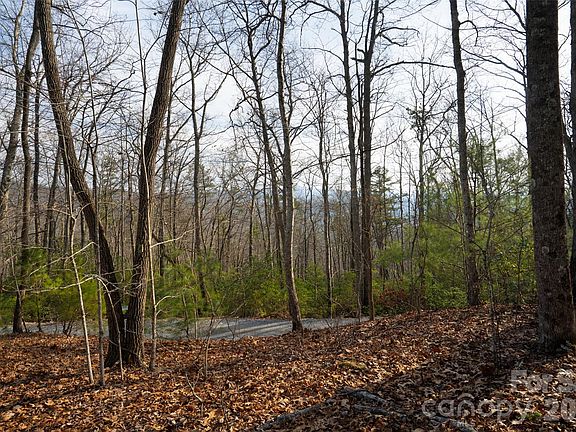 3rd image of 29 Open Ridge Trl