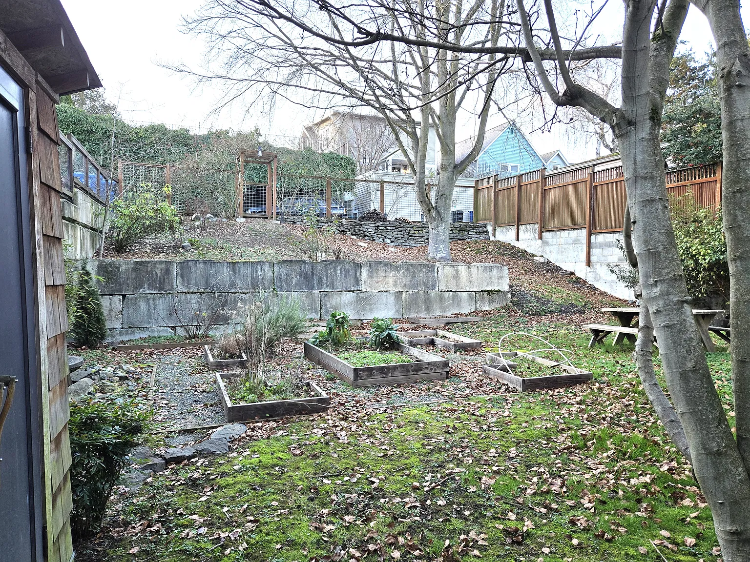 1 bed, 560 sqft, $1,595 — Photo 4