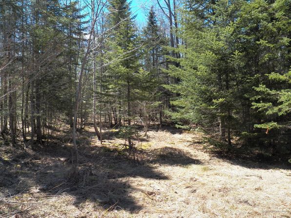 Moosehead Lake Greenville Real Estate 20 Homes For Sale Zillow