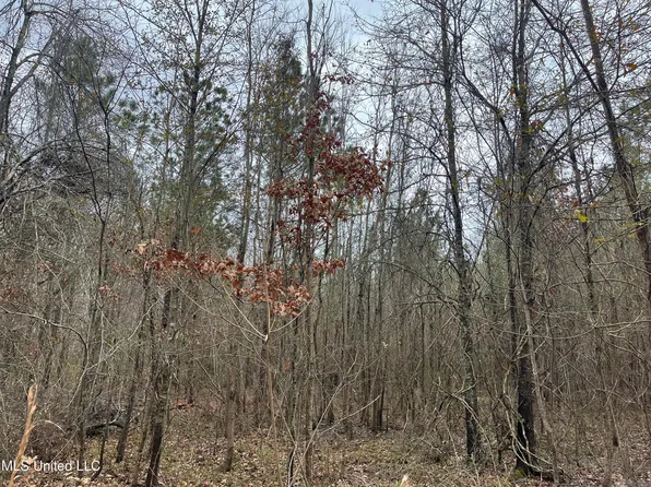 10 Okelly Cir, Natchez, MS 39120