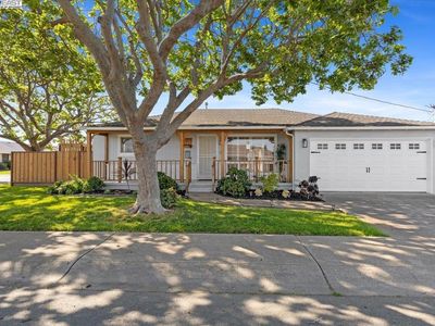 1928 Via Buena Vis, San Lorenzo, CA, 94580