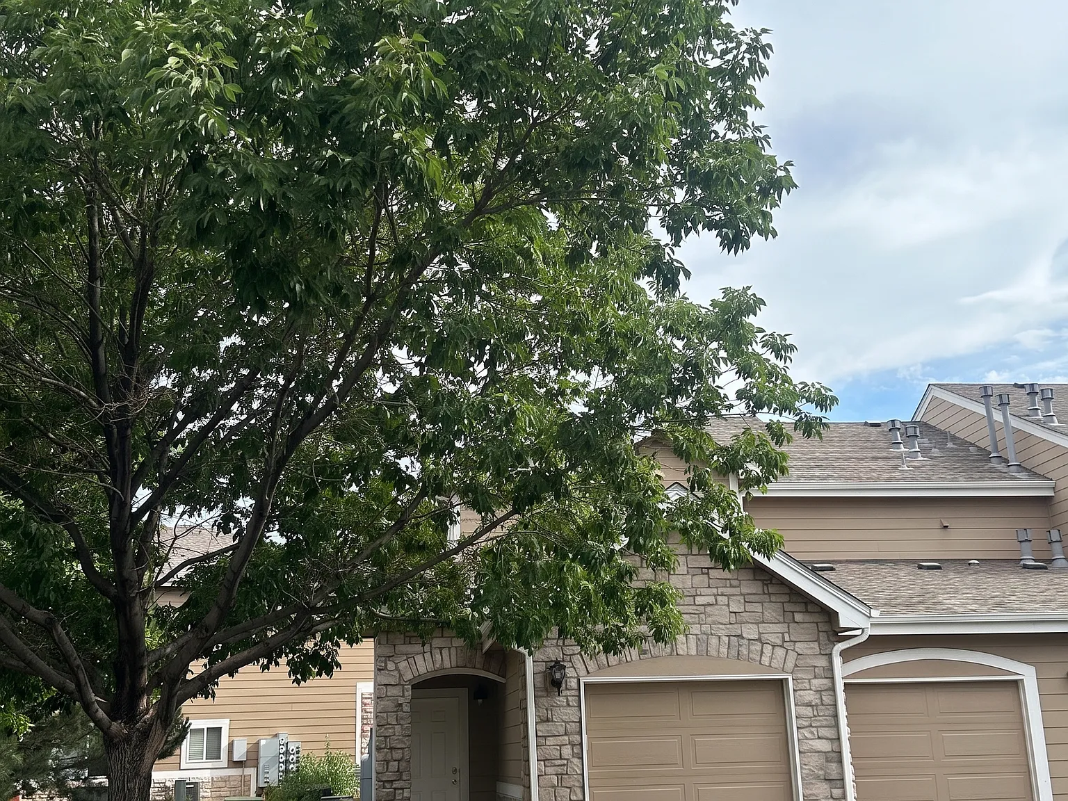 3 bed, 1492 sqft, $3,895 — Photo 4