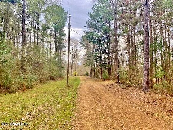 3rd image of 3037 Brandi Rd