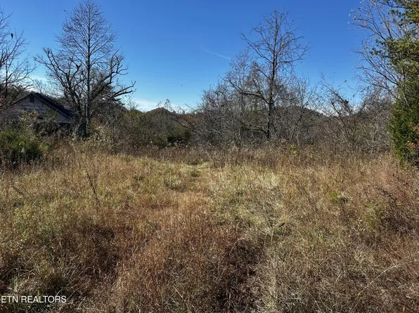 0 Shaddon Rd Lot 1, Tellico Plains, TN 37385