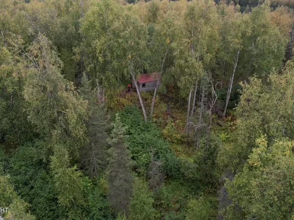 A1 E Kashwitna Lake Ave, Willow, AK 99688