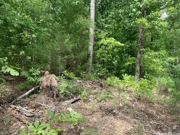 LOT 21 Denby Cove Dr, Mount Ida, AR 71957