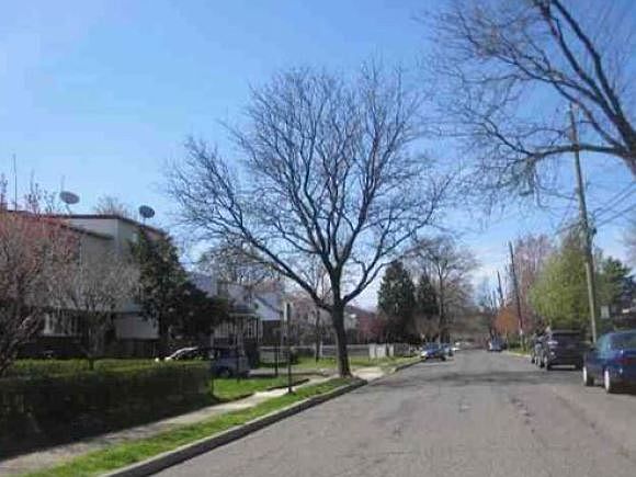 2nd image of 20 Prospect St