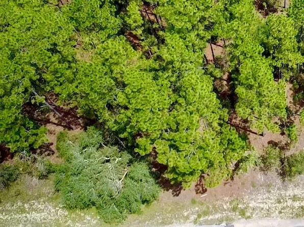 3861 W FIREWOOD LOOP LOT 13, CITRUS SPRINGS, FL 34433