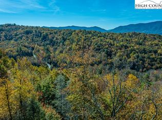 W Black Bear Xing, Elk Park, NC 28622