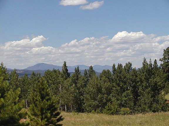 5th image of 5503 County Road 1