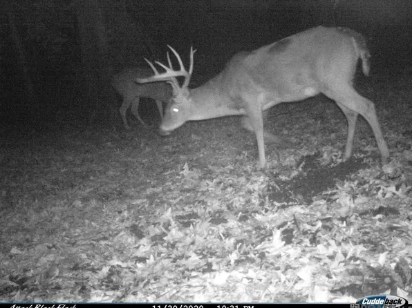 27 Cat Island Rd, Saint Francisville, LA 70775