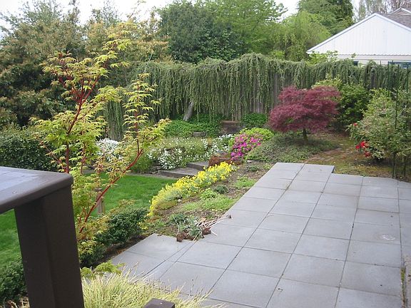 Looking North from Deck