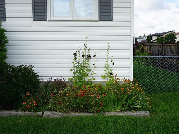5th image of 14546 19th St NW