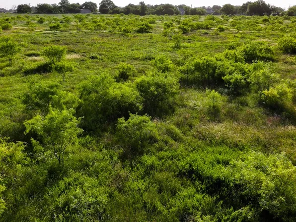 Steadham St, Loving, TX 76460