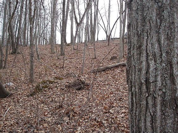 3rd image of 6061 Kimbrell Heights Dr Lot 37