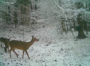 0 Knights Creek Rd #28, Scio, NY 14880