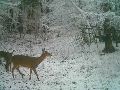 0 Knights Creek Rd #28, Scio, NY, 14880