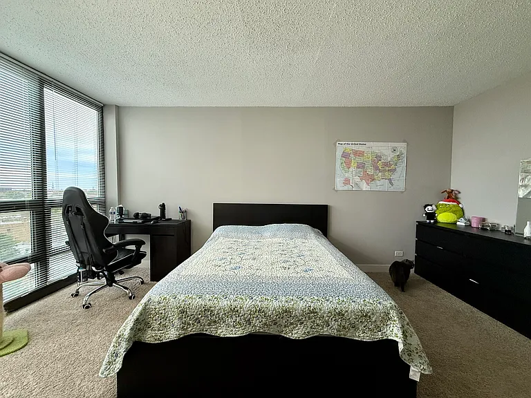 2535 N Clark St #809 — Photo 8