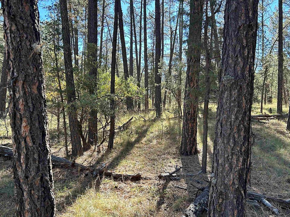 2nd image of Pine Dr