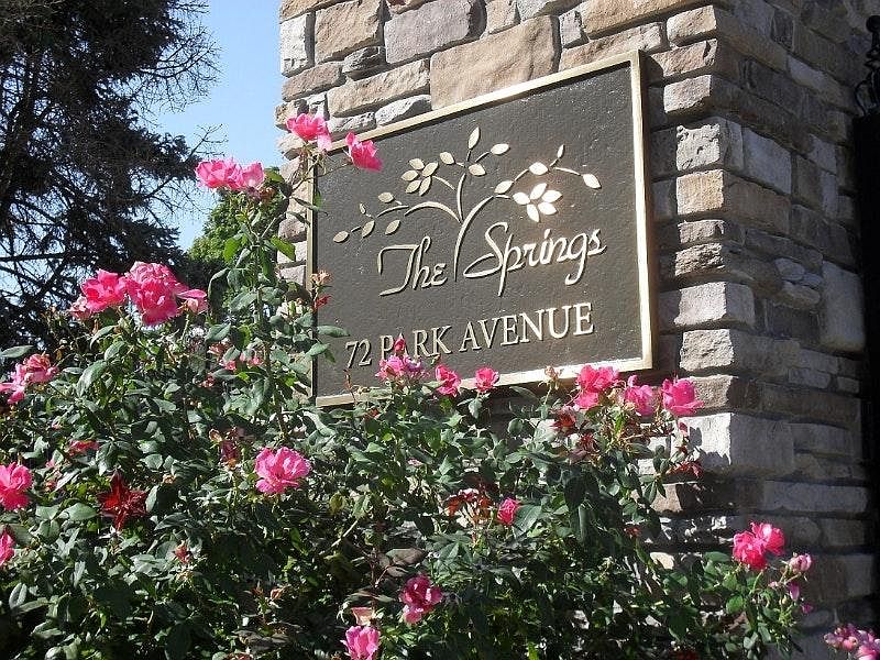 Welcome To The Springs