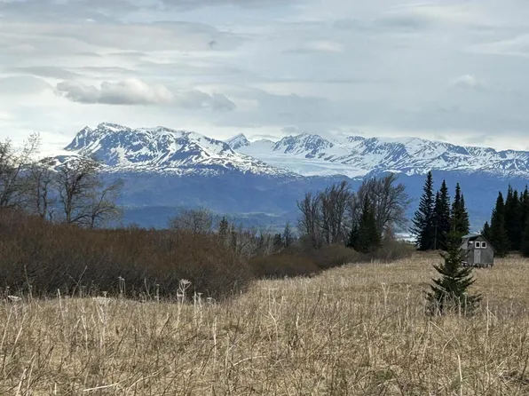 28904 Caribou View Ln, Homer, AK 99603