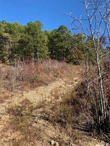 Blont Ter, Hot Springs National Park, AR, 71901
