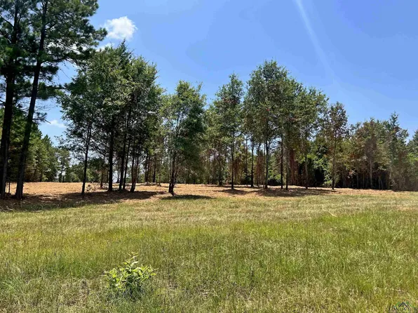 476 Cr, Henderson, TX 75654