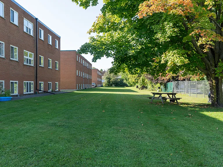 794 Waterloo St — Photo 23