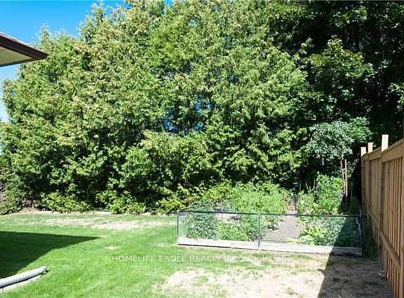 4th image of 19 Schomberg Rd