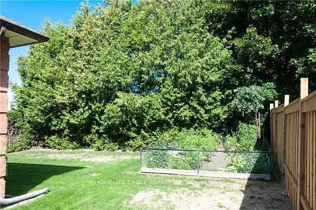 19 Schomberg Rd — Photo 4