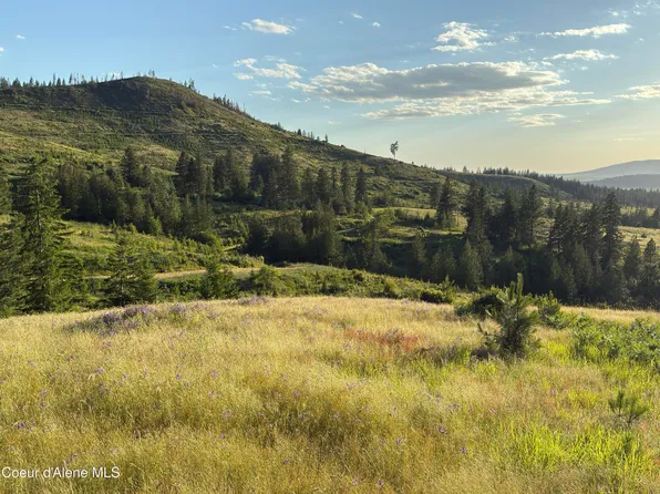 Nna Windfall Pass Rd, Plummer, ID 83851