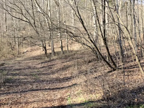 Red Ankle Rd, Sweetwater, TN 37874