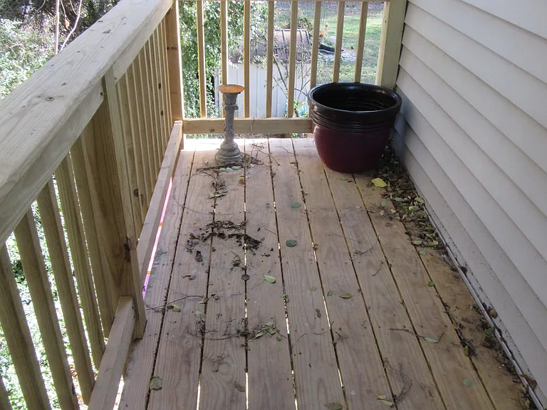 189 Laconia Ave NE — Photo 13