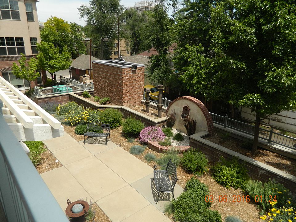 backyard view from patio