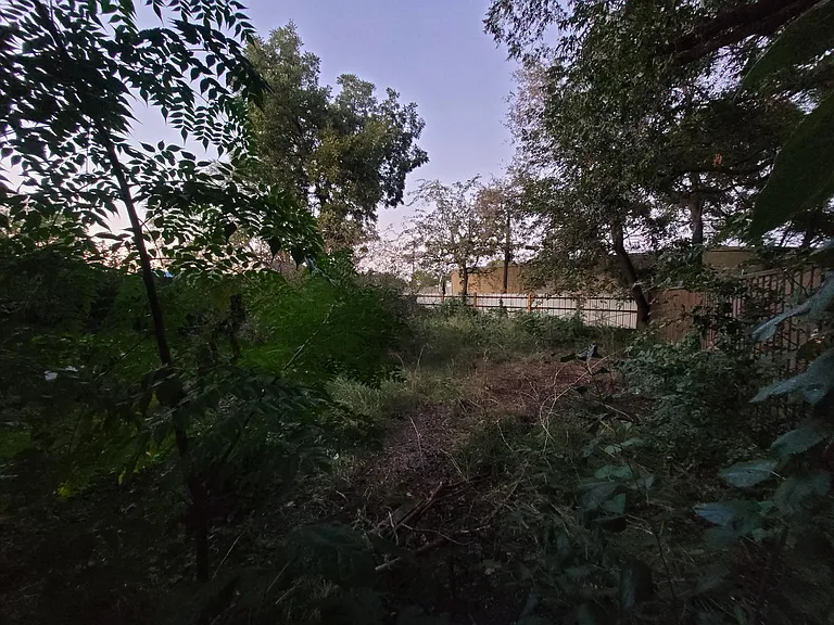410 Ann Ave — Photo 19