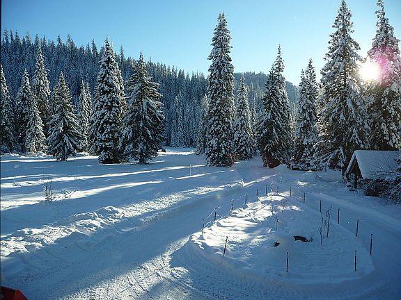 2nd image of 22838 E Canyon Rd